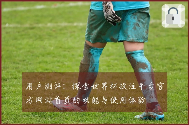 用户测评：探索世界杯投注平台官方网站首页的功能与使用体验