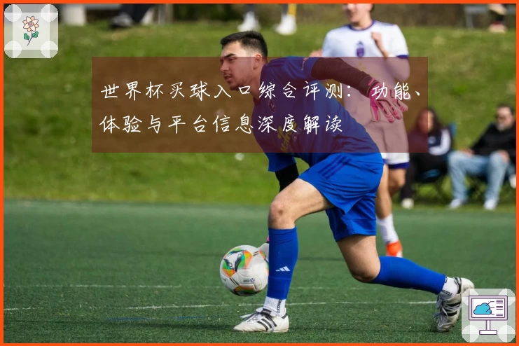 世界杯买球入口综合评测：功能、体验与平台信息深度解读