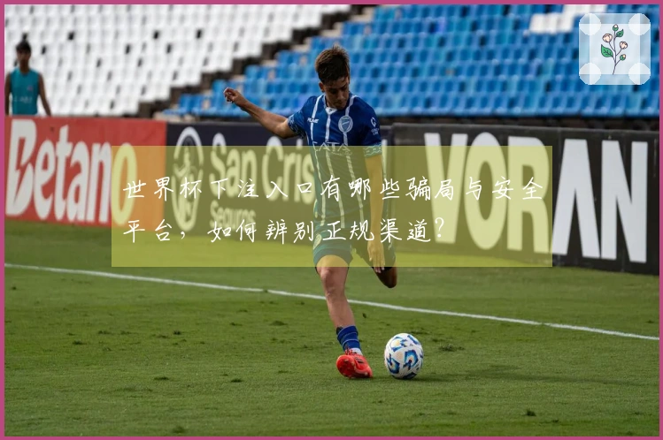 世界杯下注入口有哪些骗局与安全平台，如何辨别正规渠道？