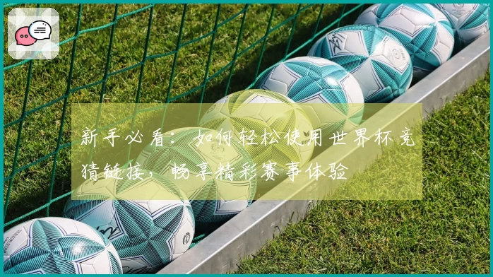 新手必看：如何轻松使用世界杯竞猜链接，畅享精彩赛事体验