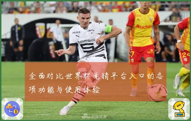 全面对比世界杯竞猜平台入口的各项功能与使用体验