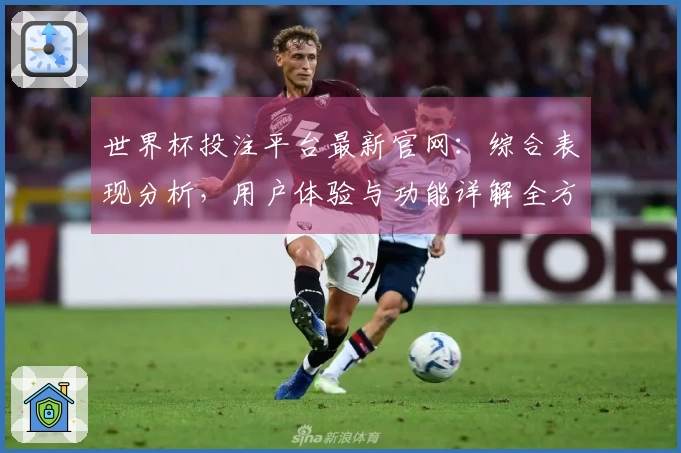 世界杯投注平台最新官网：综合表现分析，用户体验与功能详解全方位呈现