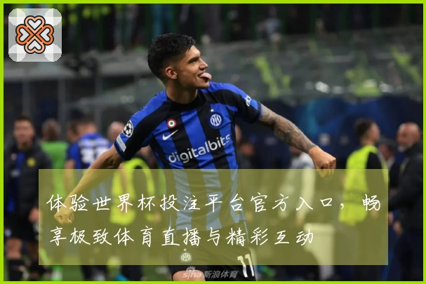 体验世界杯投注平台官方入口，畅享极致体育直播与精彩互动