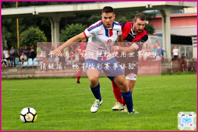 新手必看：如何轻松使用世界杯竞猜链接，畅享精彩赛事体验